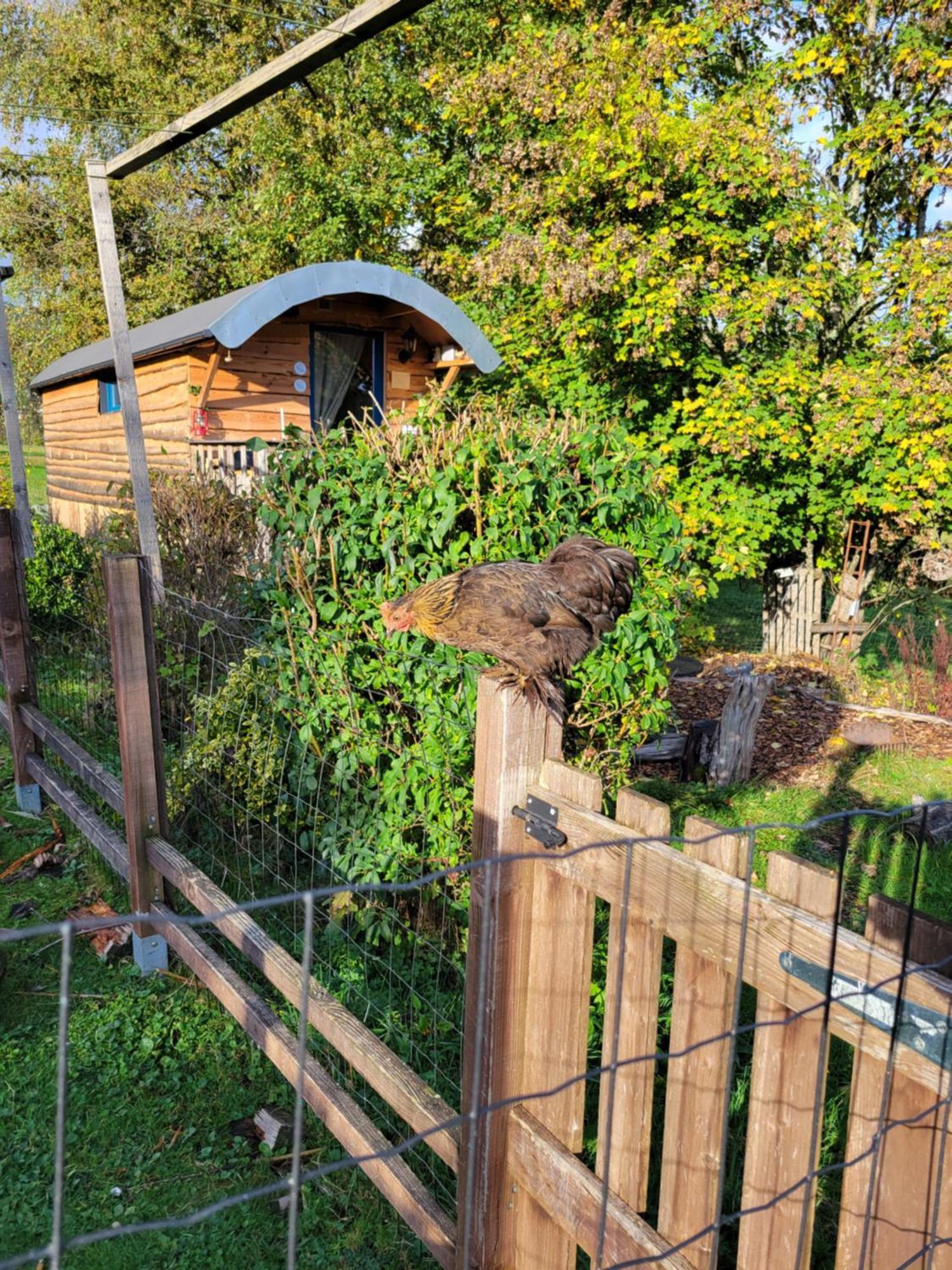 La Roulotte Tiny House Du Mond'Ideal Leval (Territoire de Belfort) Quarto foto